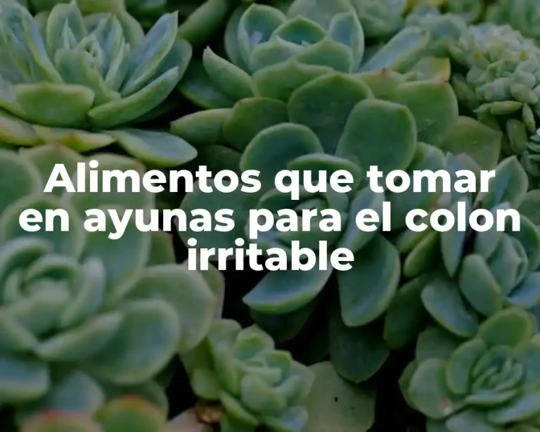 Alimentos que tomar en ayunas para el colon irritable