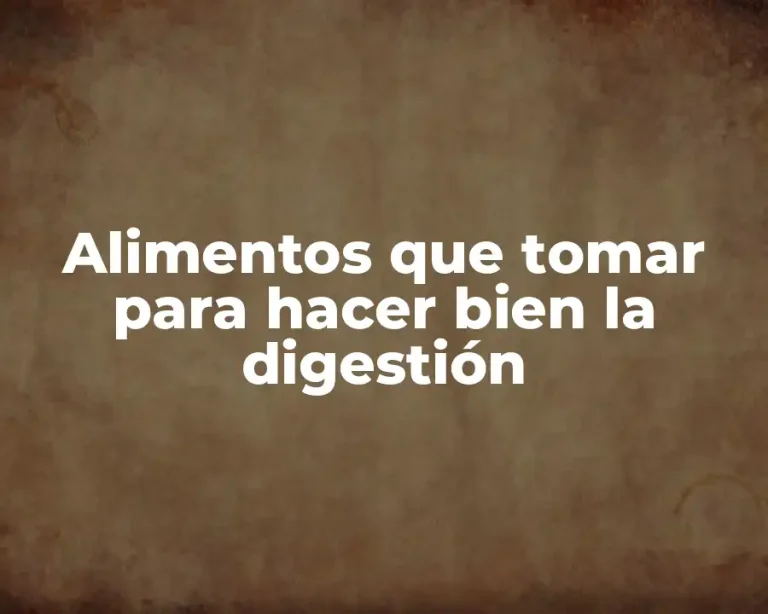 Alimentos que tomar para hacer bien la digestión