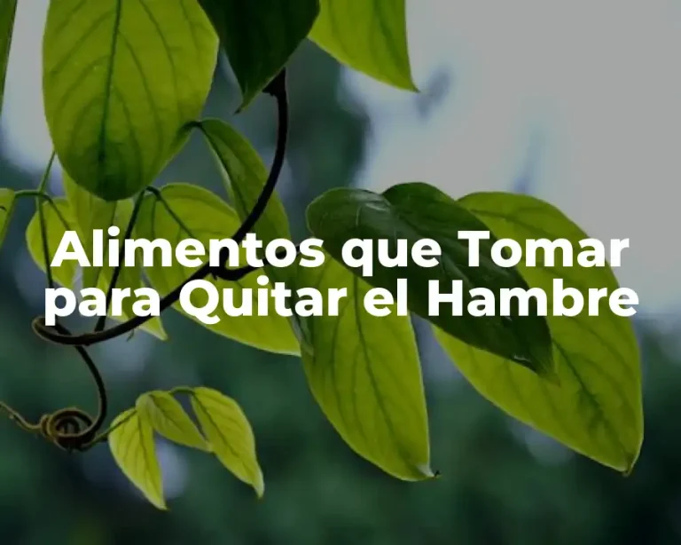 Alimentos que Tomar para Quitar el Hambre