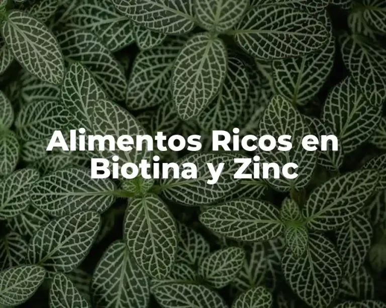 Alimentos Ricos en Biotina y Zinc