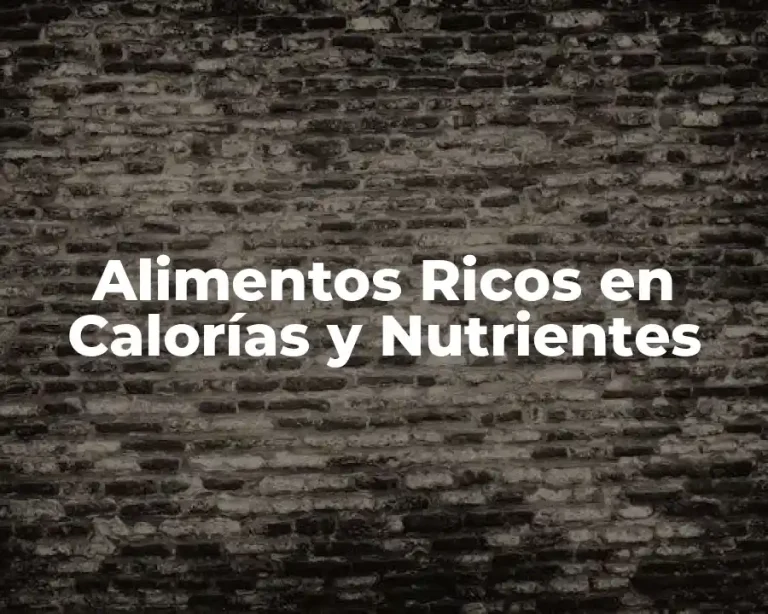 Alimentos Ricos en Calorías y Nutrientes