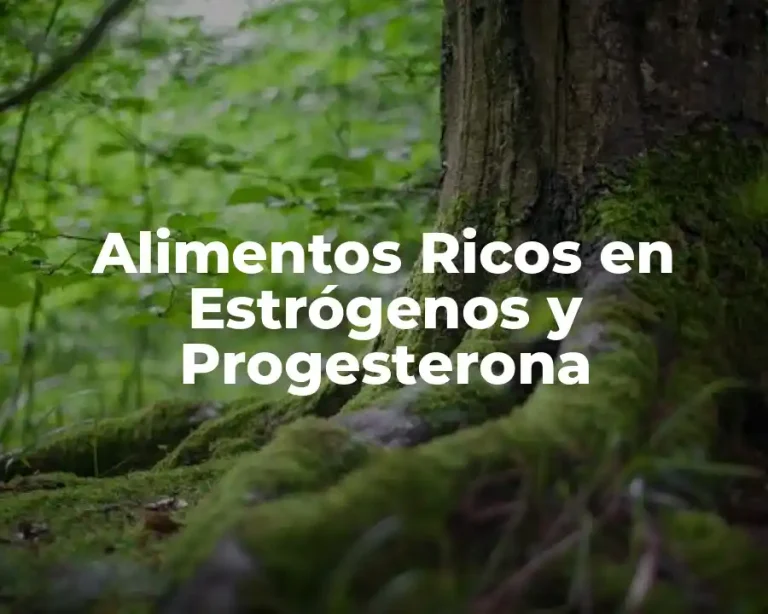 Alimentos Ricos en Estrógenos y Progesterona