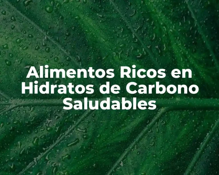 Alimentos Ricos en Hidratos de Carbono Saludables