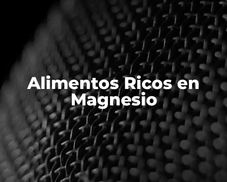 Alimentos Ricos en Magnesio