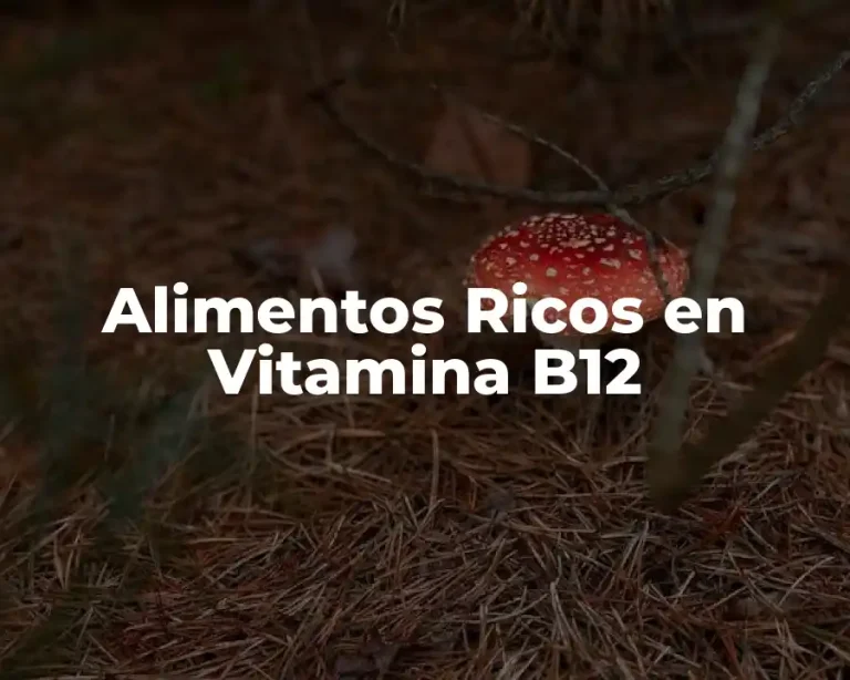 Alimentos Ricos en Vitamina B12