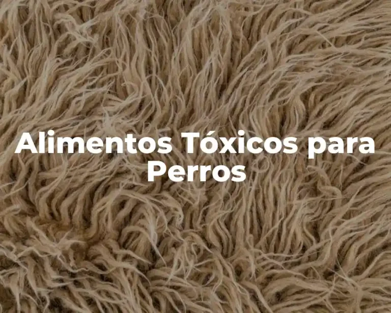 Alimentos Tóxicos para Perros