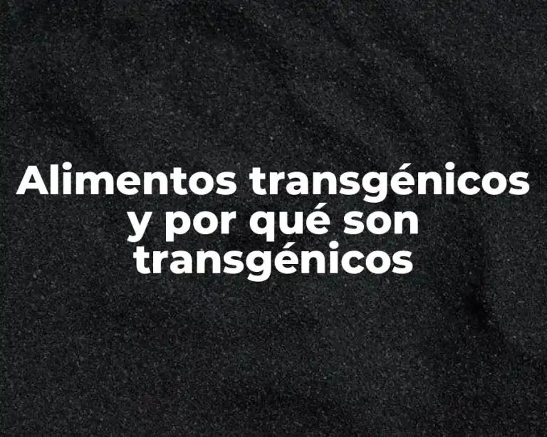 Alimentos transgénicos y por qué son transgénicos