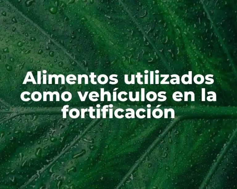 Alimentos utilizados como vehículos en la fortificación