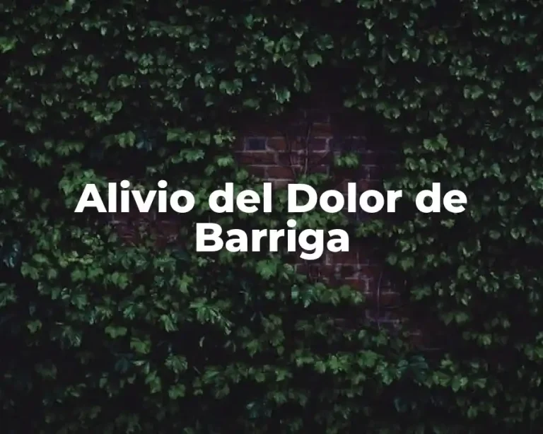 Alivio del Dolor de Barriga