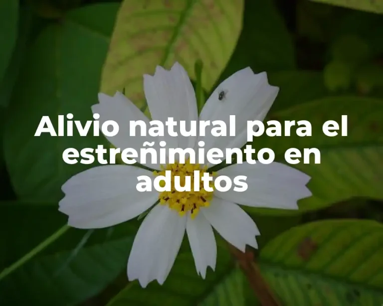 Alivio natural para el estreñimiento en adultos