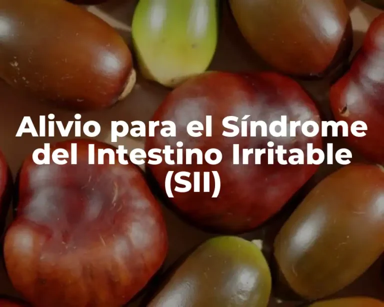 Alivio para el Síndrome del Intestino Irritable (SII)