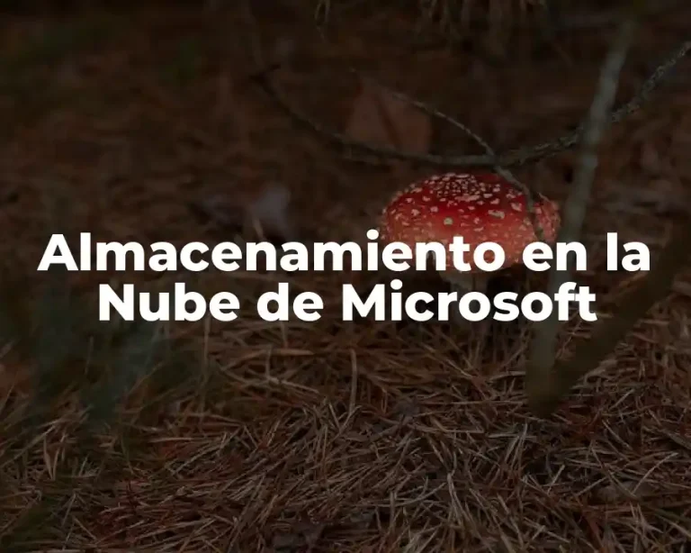 Almacenamiento en la Nube de Microsoft