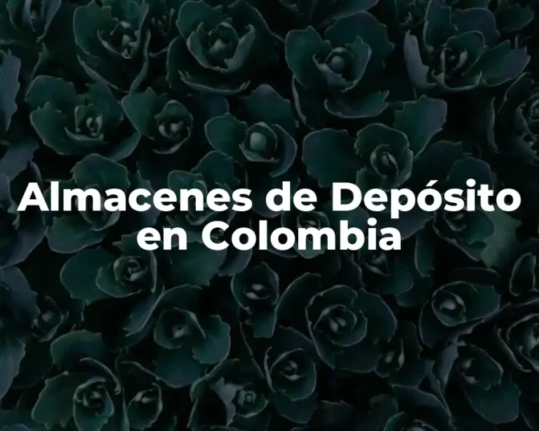 Almacenes de Depósito en Colombia