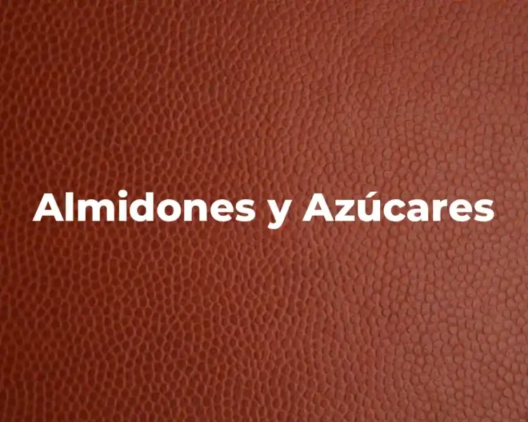 Almidones y Azúcares