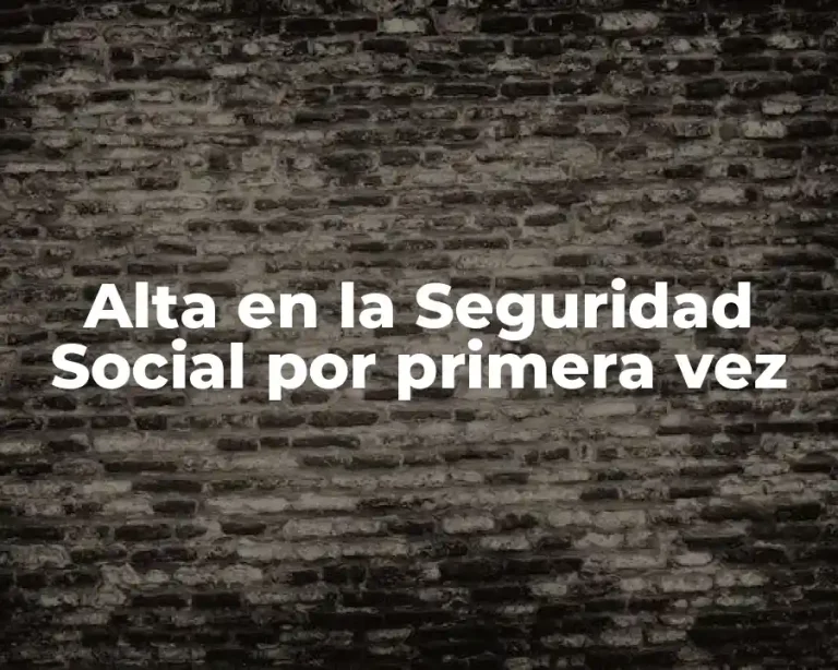 Alta en la Seguridad Social por primera vez