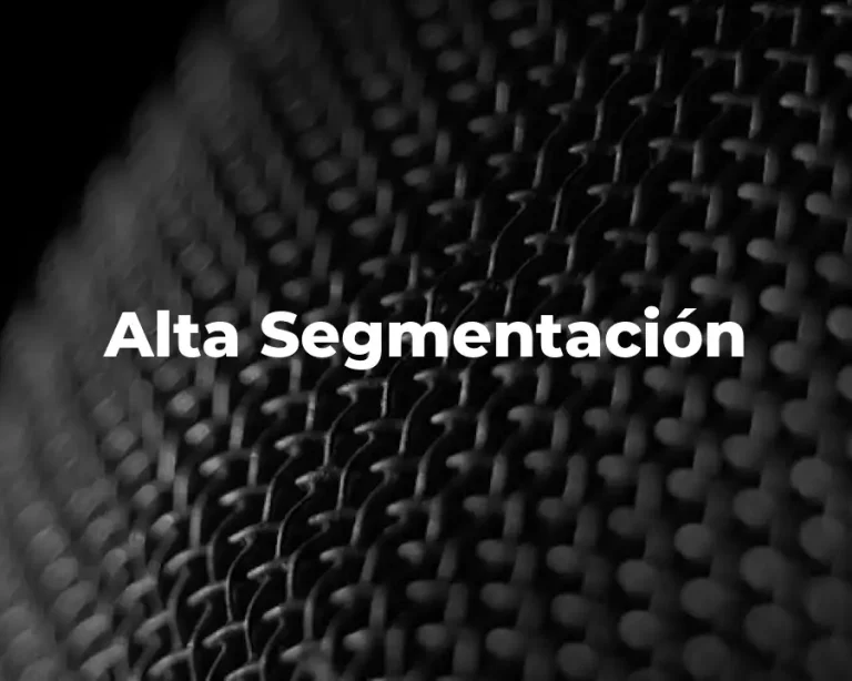 Alta Segmentación