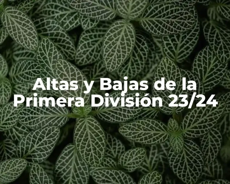 Altas y Bajas de la Primera División 23/24