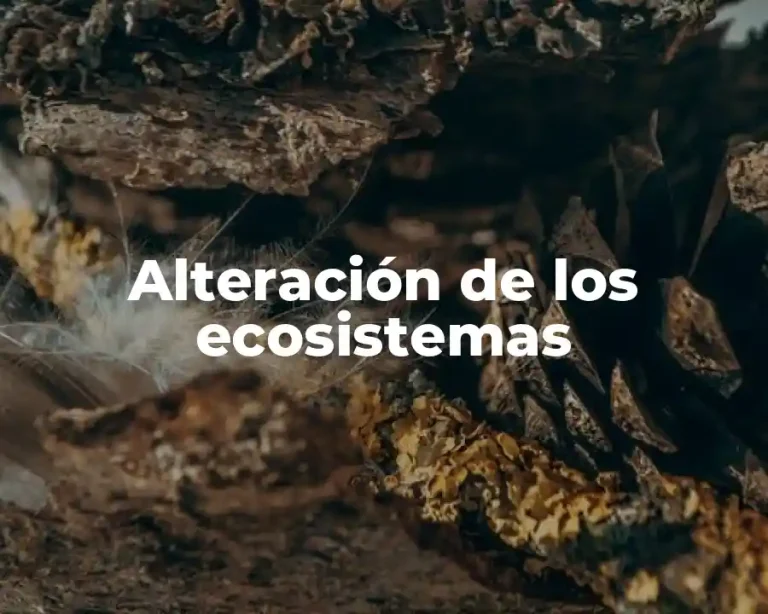 Alteración de los ecosistemas