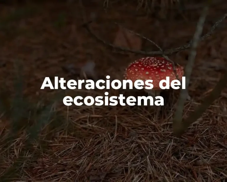 Alteraciones del ecosistema