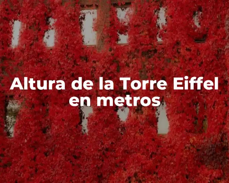 Altura de la Torre Eiffel en metros