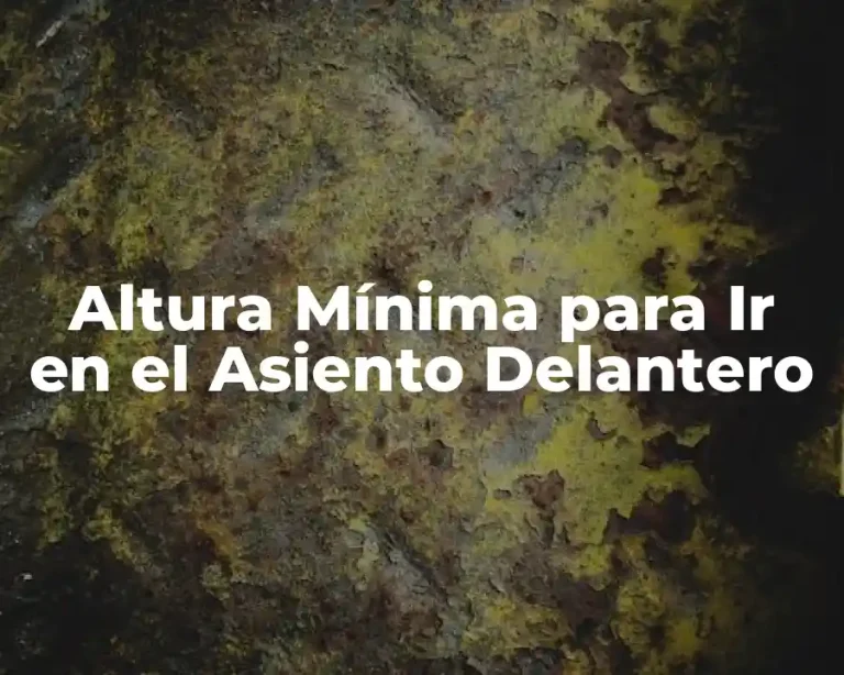 Altura Mínima para Ir en el Asiento Delantero