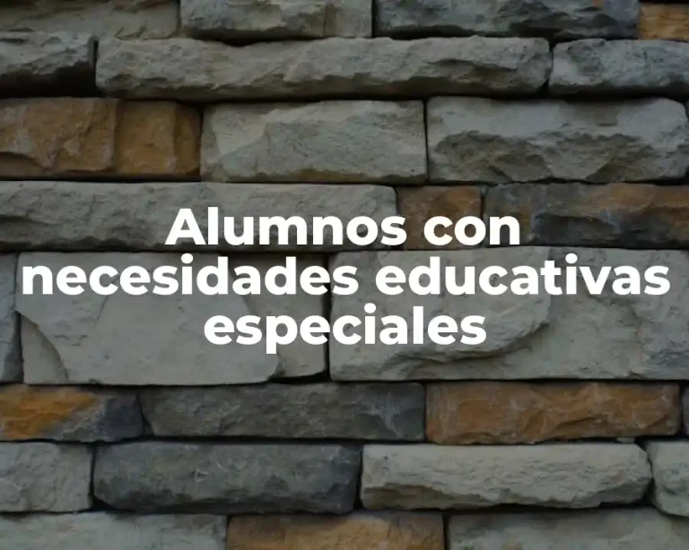 Alumnos con necesidades educativas especiales