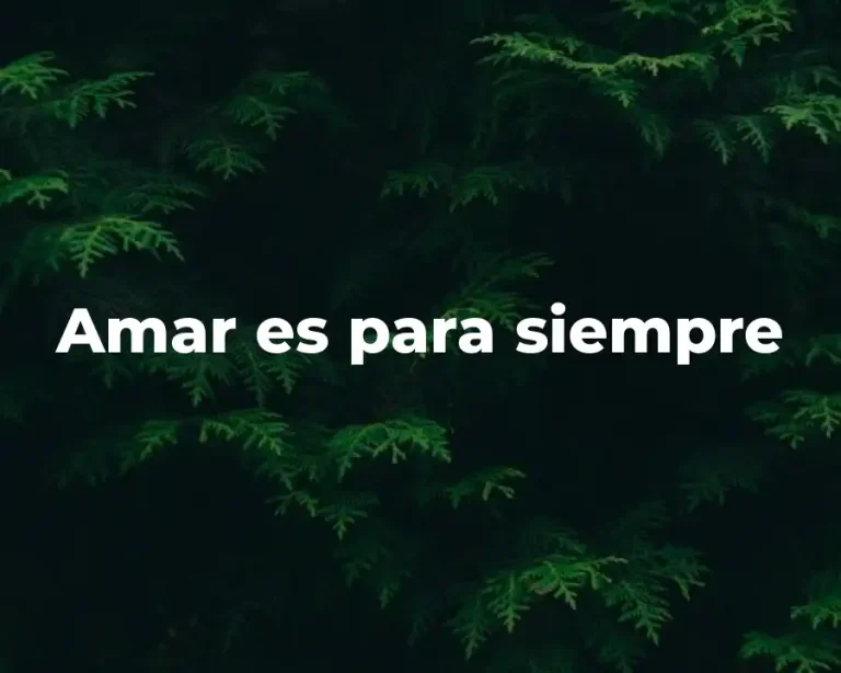 Amar es para siempre