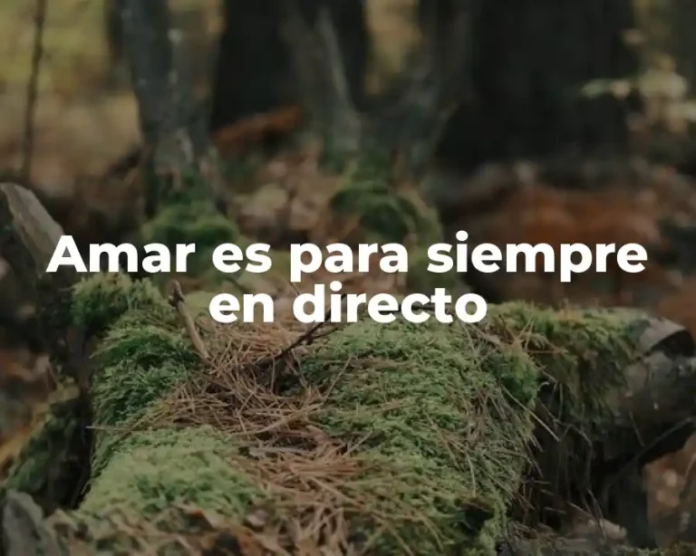 Amar es para siempre en directo
