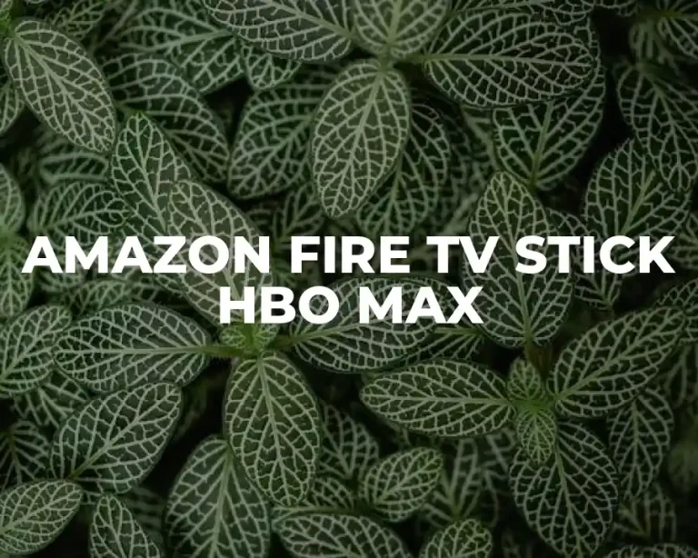 AMAZON FIRE TV STICK HBO MAX