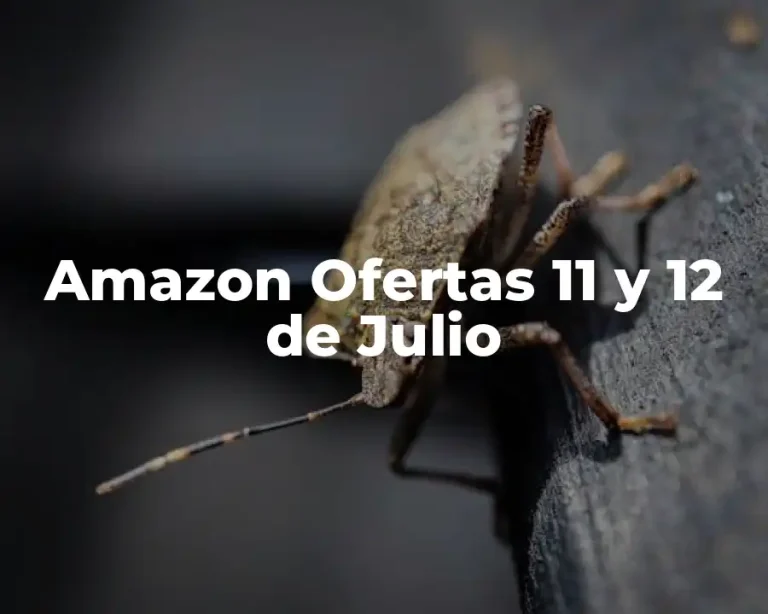Amazon Ofertas 11 y 12 de Julio