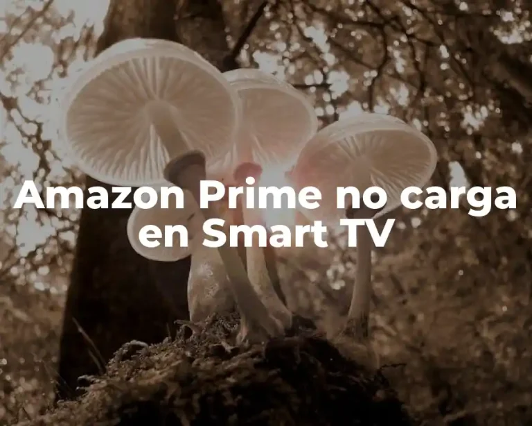 Amazon Prime no carga en Smart TV