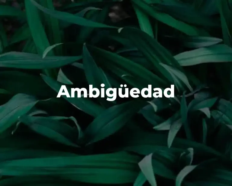 Ambigüedad
