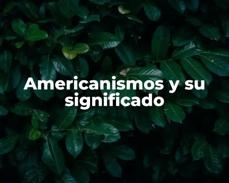 Americanismos y su significado