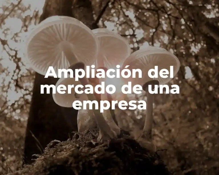 Ampliación del mercado de una empresa