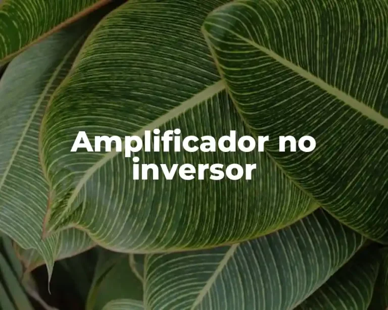 Amplificador no inversor