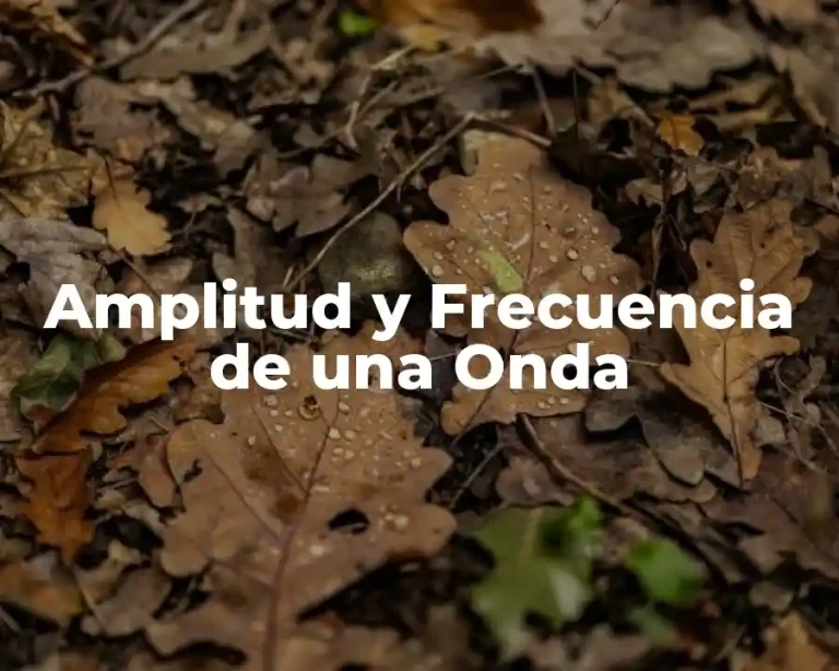 Amplitud y Frecuencia de una Onda