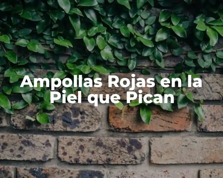 Ampollas Rojas en la Piel que Pican