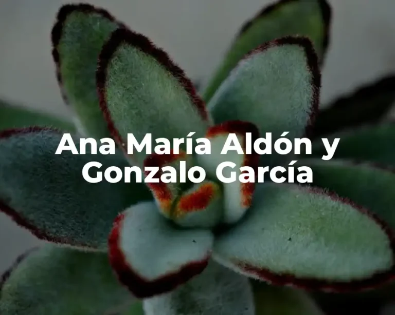 Ana María Aldón y Gonzalo García