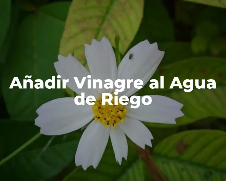 Añadir Vinagre al Agua de Riego