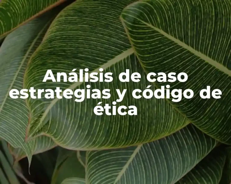 Análisis de caso estrategias y código de ética