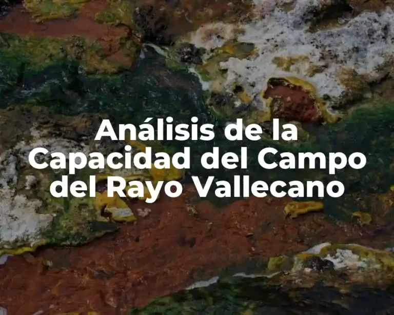 Análisis de la Capacidad del Campo del Rayo Vallecano