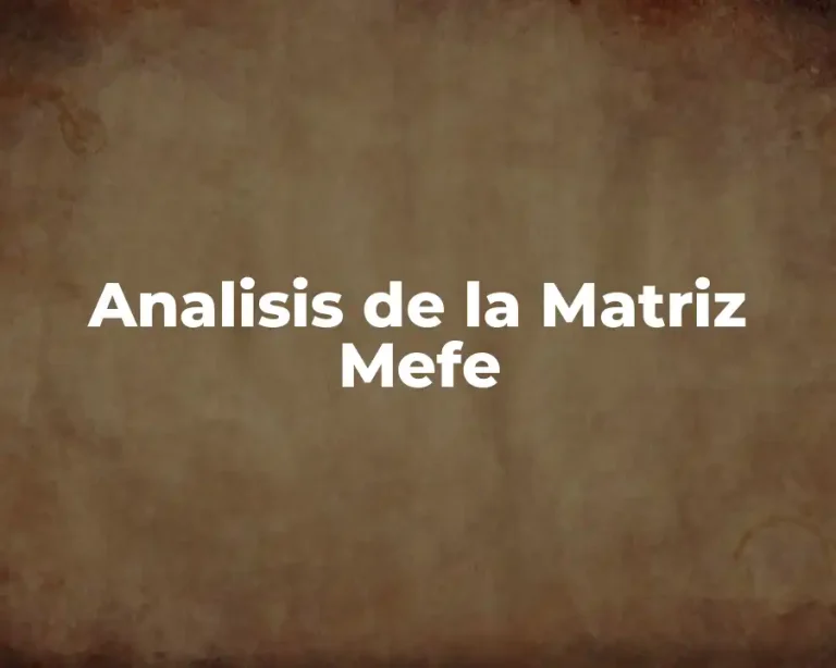 Analisis de la Matriz Mefe