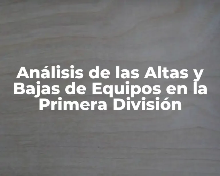 Análisis de las Altas y Bajas de Equipos en la Primera División