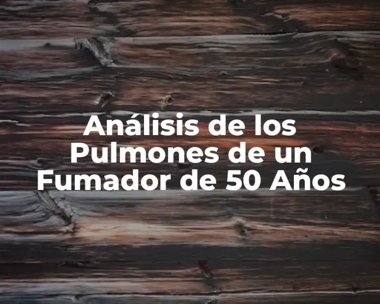 Análisis de los Pulmones de un Fumador de 50 Años
