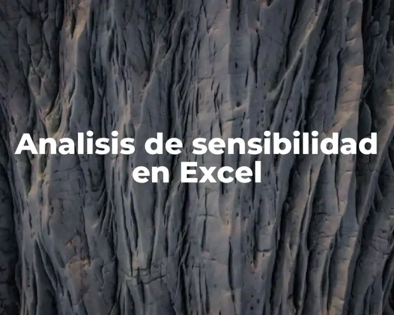 Analisis de sensibilidad en Excel