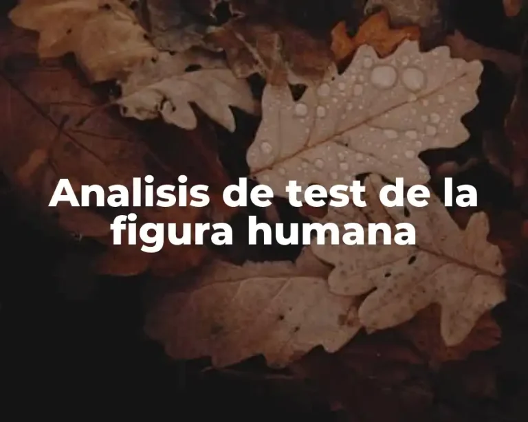 Analisis de test de la figura humana