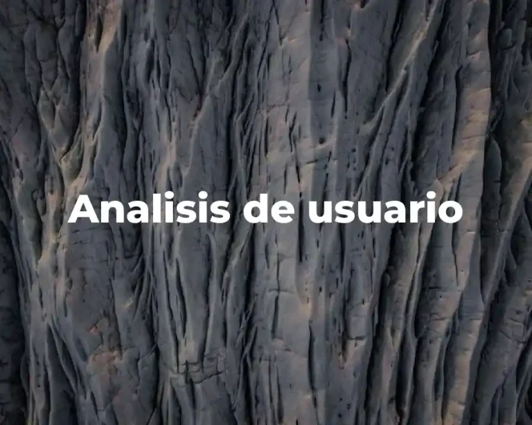 Analisis de usuario