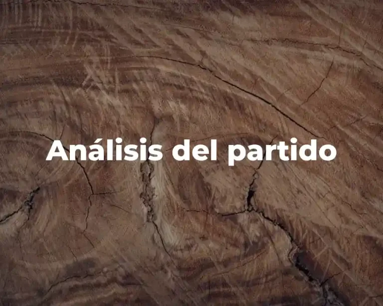 Análisis del partido