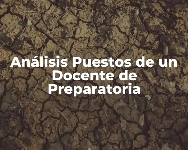 Análisis Puestos de un Docente de Preparatoria