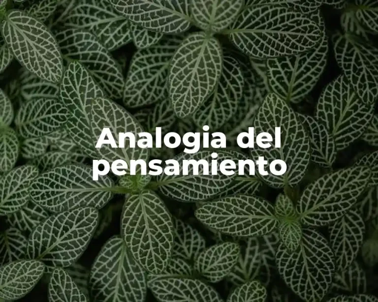 Analogia del pensamiento